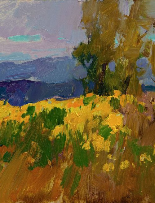 Topinambur flowers. Evening in the foothills by Aleksandr  Kryushyn