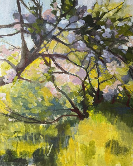Apple orchard 3