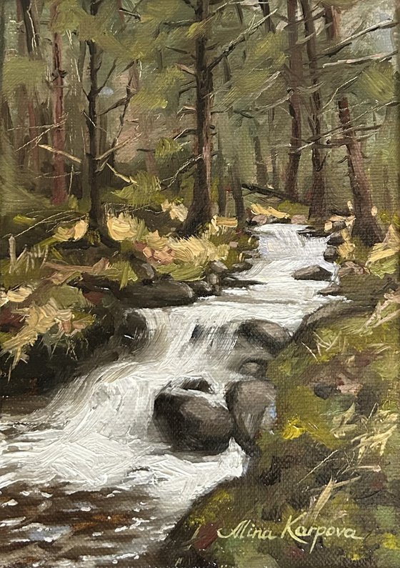 Forest falls