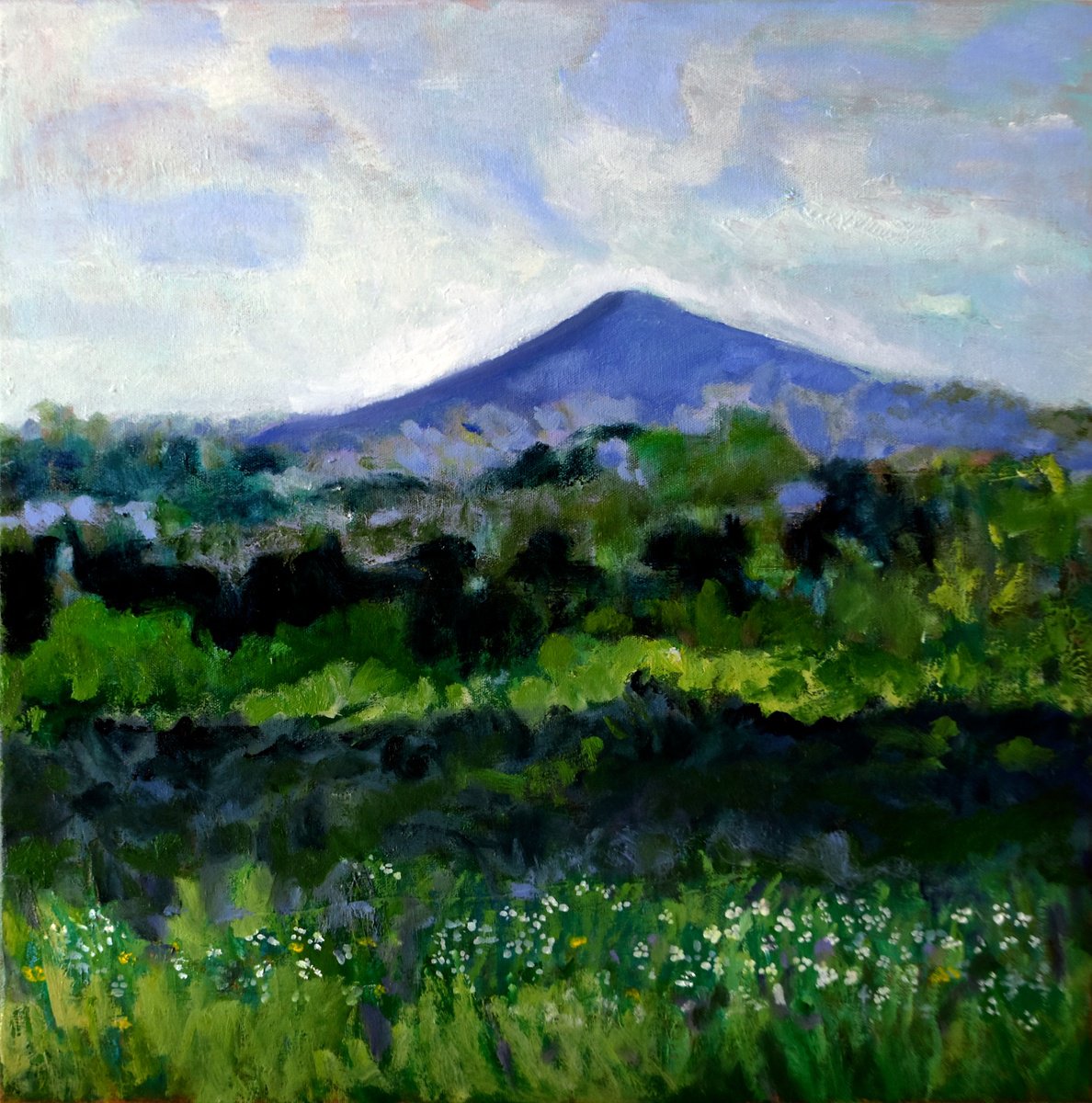 Mountain Landscape By Cristian Valentich, 20 X 20, Artwork For Sale On Artfinder