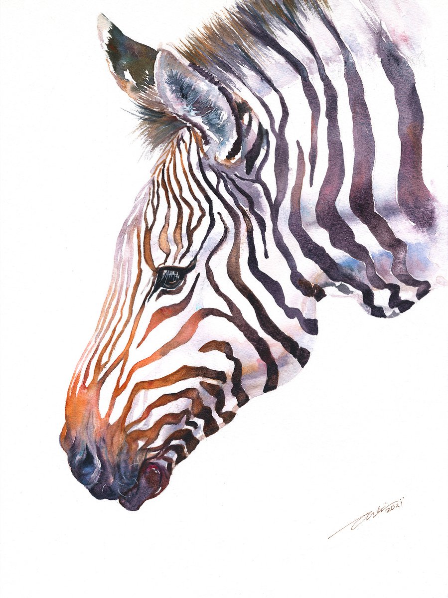 Impressionistic Animal Watercolour By Arti Chauhan, 12 X 16, Citrus Chad_ Zebra, Original Artwork