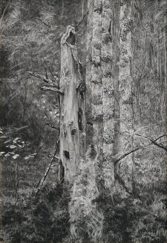 Dead tree