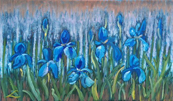 Irises