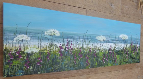 Cornish Coast Meadow