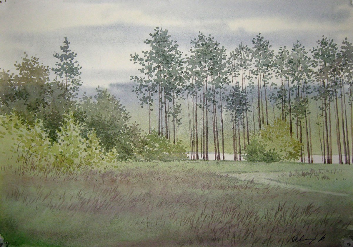 Impressionistic Landscape Watercolour By Valeriy Savenets-1, 12 X 8", Forest Halt, Original Artwork