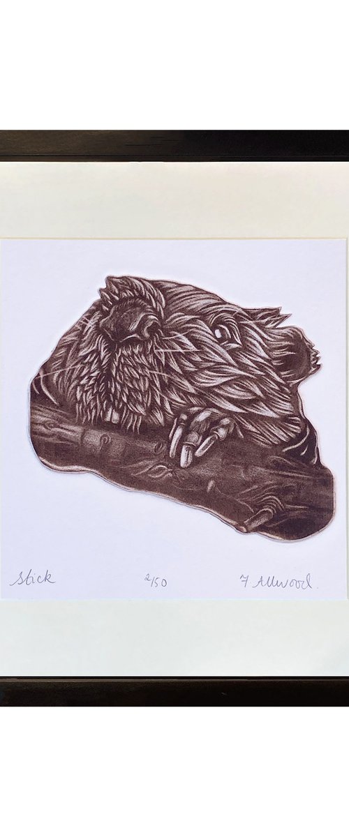 Stick - Beaver Mezzotint by Francis Allwood