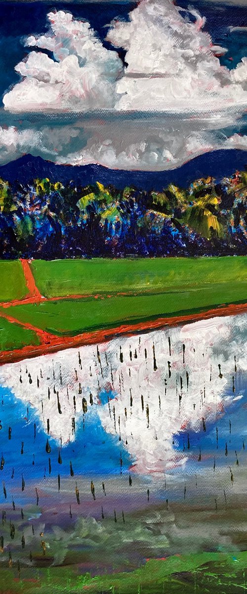 Clouds and rice by John Cottee