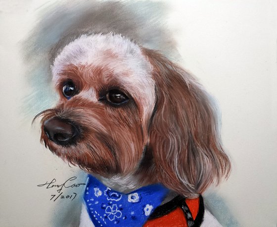 Customized Drawing Dogs From Your Photos