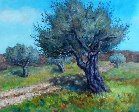 Olive trees