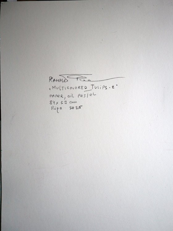 Multicolored Tulips 2