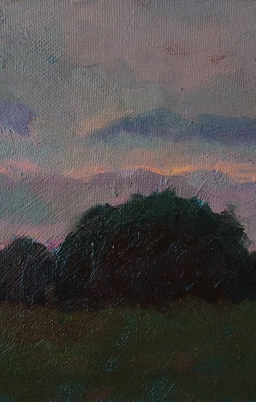 Evening by Vasyl Koval