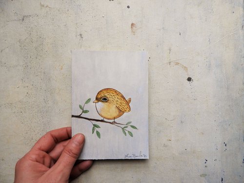 The tiny bird by Silvia Beneforti