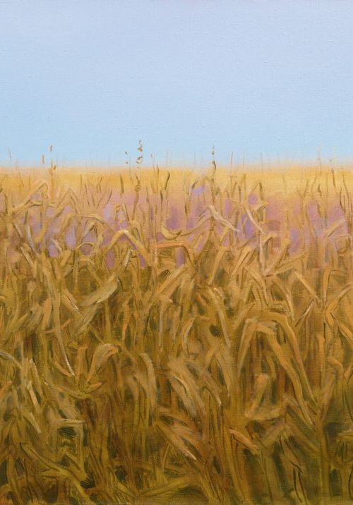 Cornfield by Alexander Levich