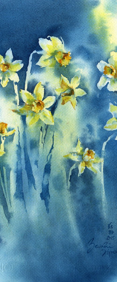 "Stars" - spring flowers daffodils on a contrasting background bright watercolor original artwork by Ksenia Selianko