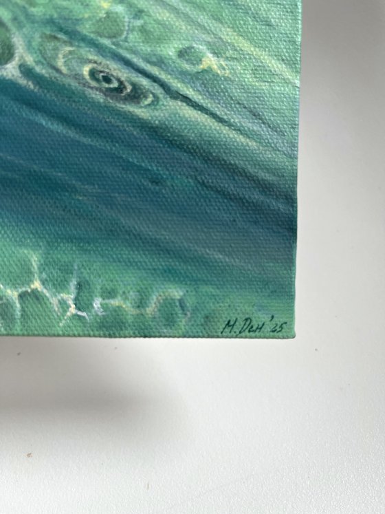 Hibiscus Turquoise Water Mini
