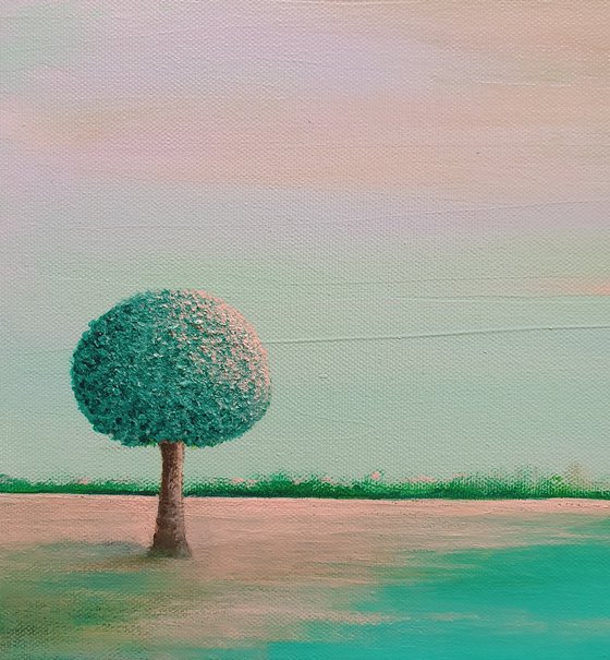 Lone tree #17