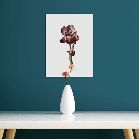 Burgundy iris flowers Painting