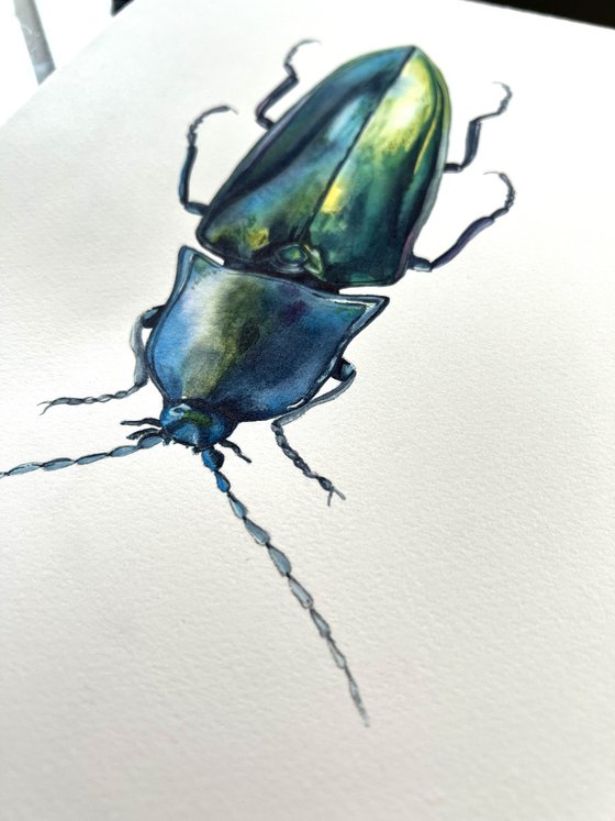 Blue longhorned beetle.