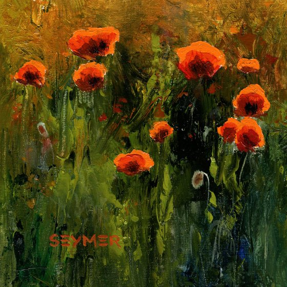 'Sunset poppies'