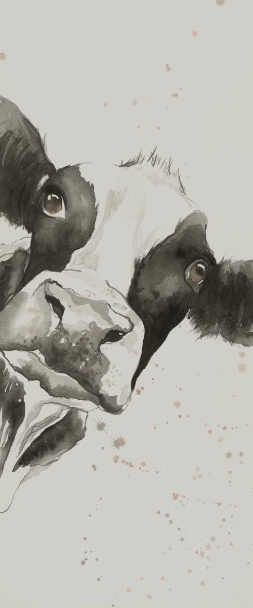 'Nosey Daisy' by Nicola Colbran