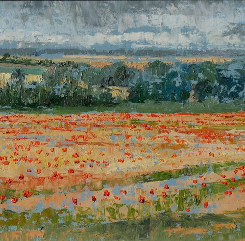 Poppies in the Storm by Hannah  Bruce