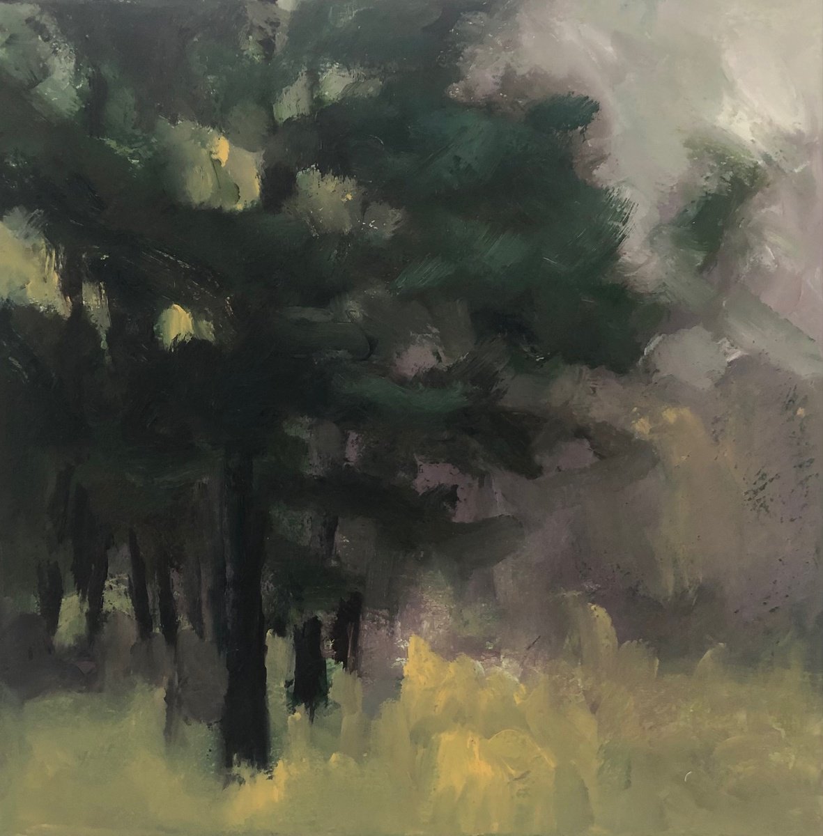 Fleeting Light By Joanna Farrow, 13 X 13, Artwork For Sale On Artfinder