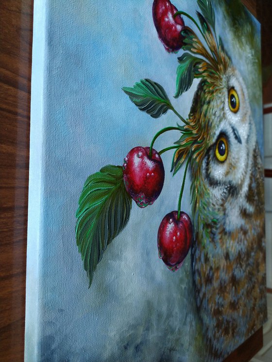 Cherry owl