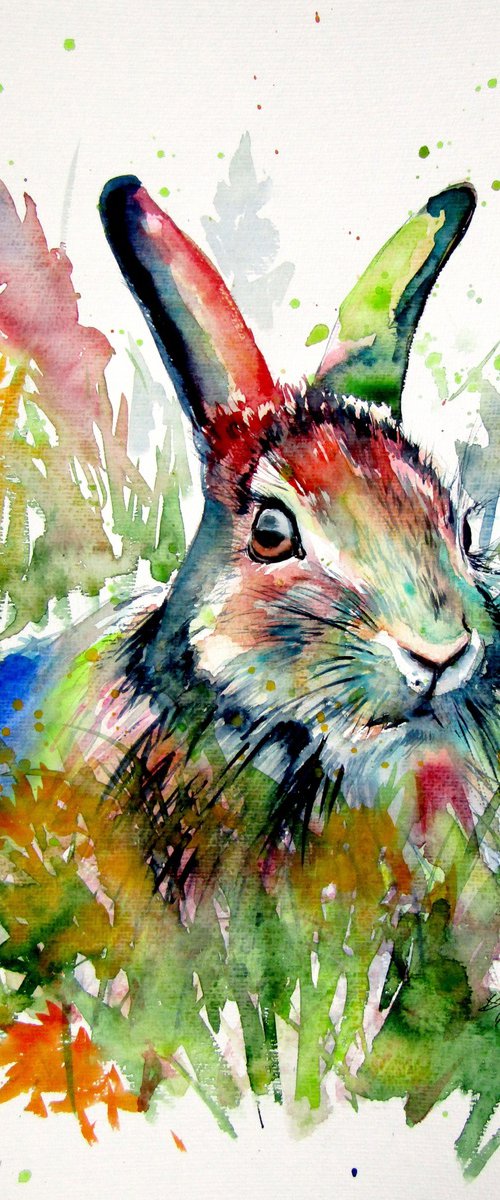 Rabbit in the grass by Kovács Anna Brigitta