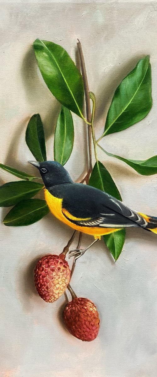 Bird and Litchee by Priyanka Singh