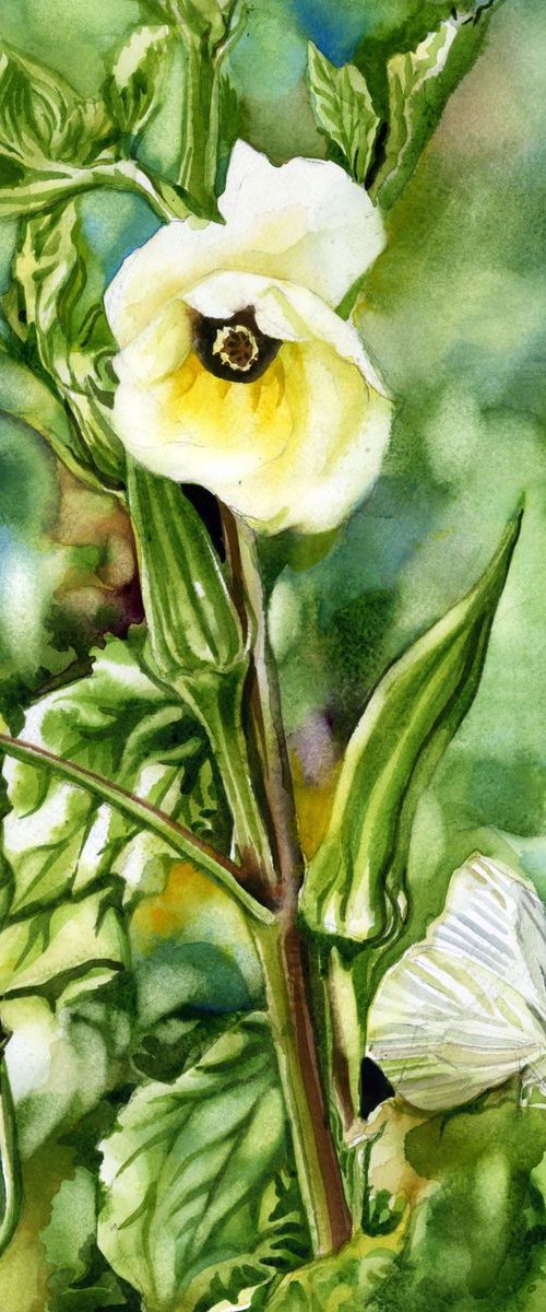 okra with cabbage white butterfly by Alfred  Ng