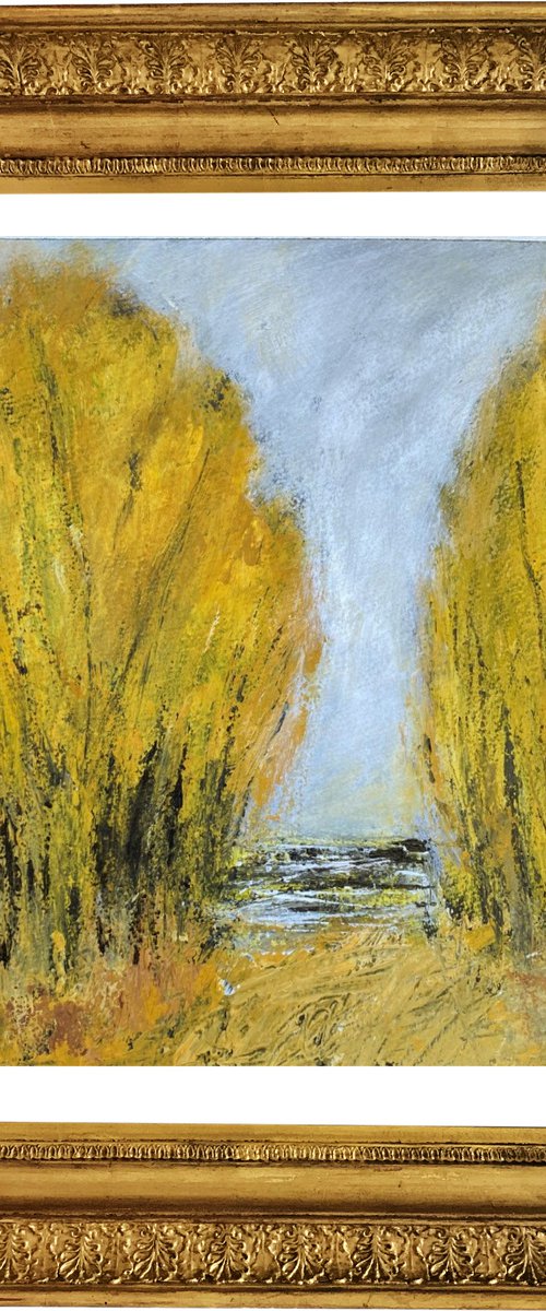 Richmond Park, Autumn III - Reserved for Sam by Jan Rippingham