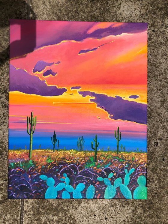 Warm sunset in desert