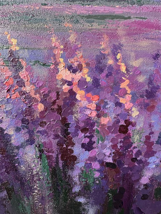 Blushing lavender morning