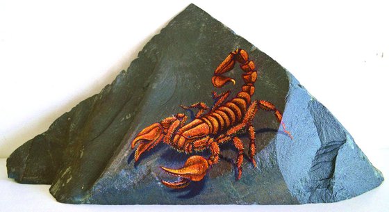 The King Of The Sting (Giant Red Scorpion)