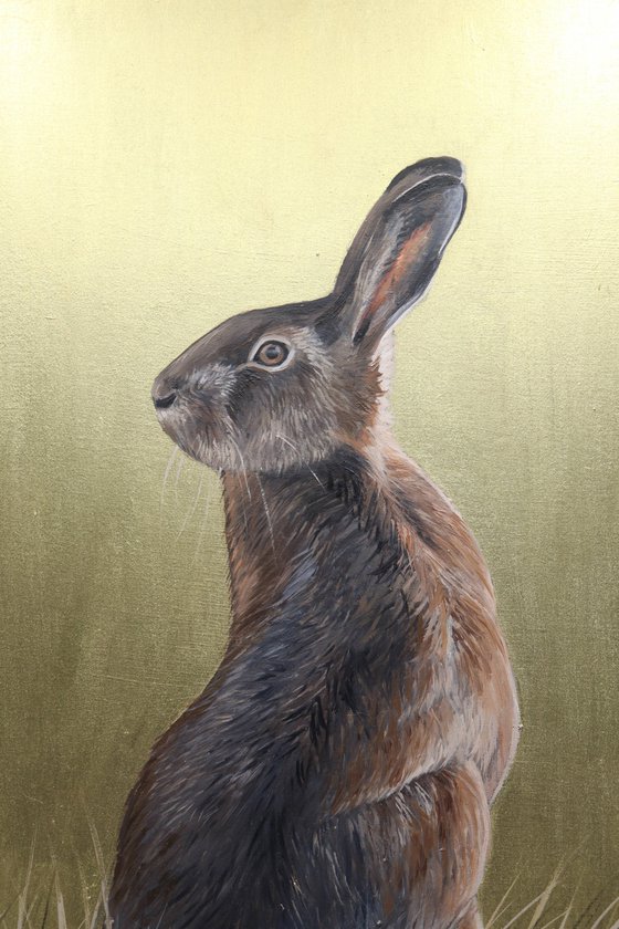 Golden Hare - Portrait I