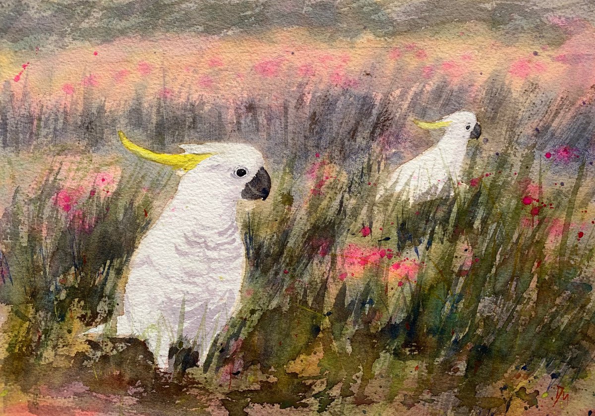 Cockatoo by Shelly Du