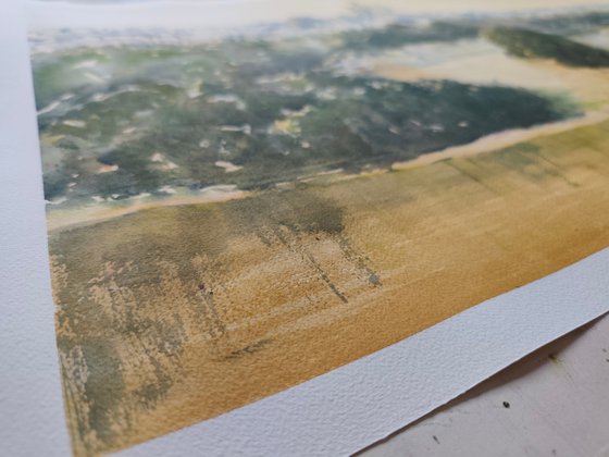 Pogled na ušće - zeleno i zlatno