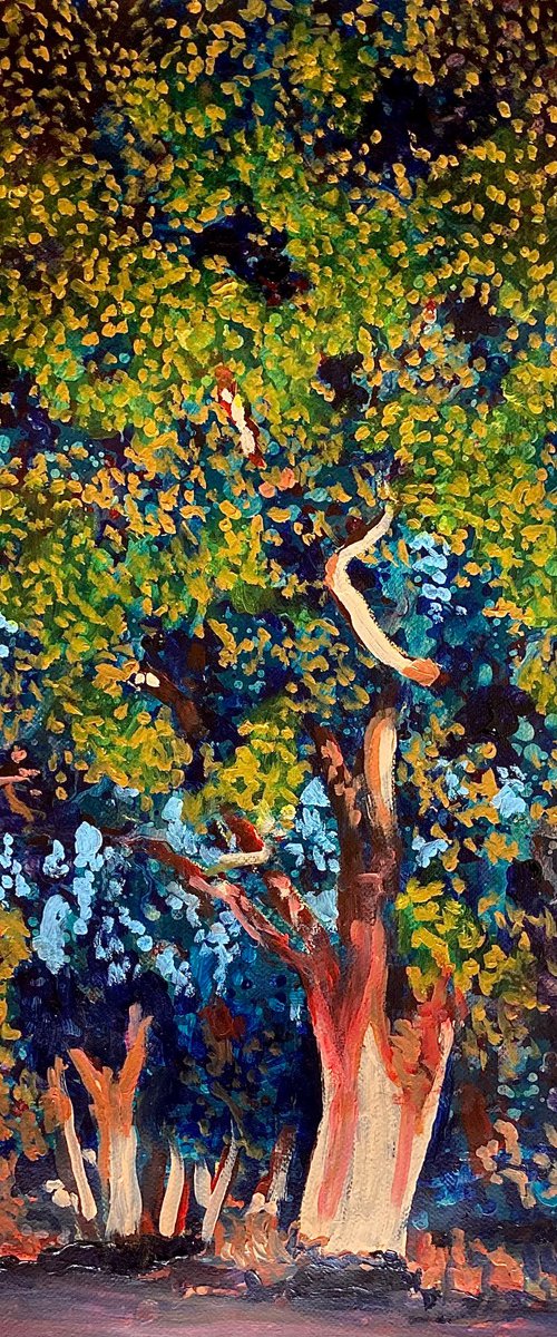 Big tree afternoon by John Cottee