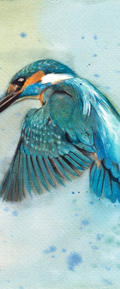 BIRD CCI - Kingfisher by REME Jr.