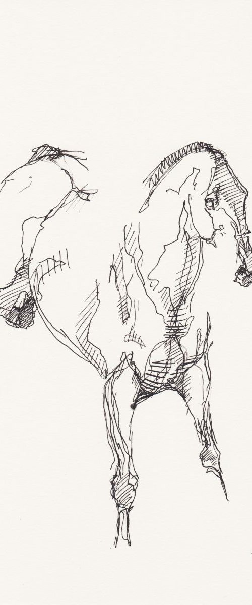 Equine Nude 146 by Benedicte Gele