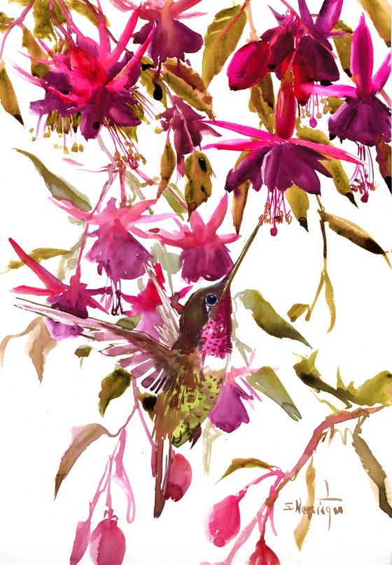 Fuchsia and Hummingbird