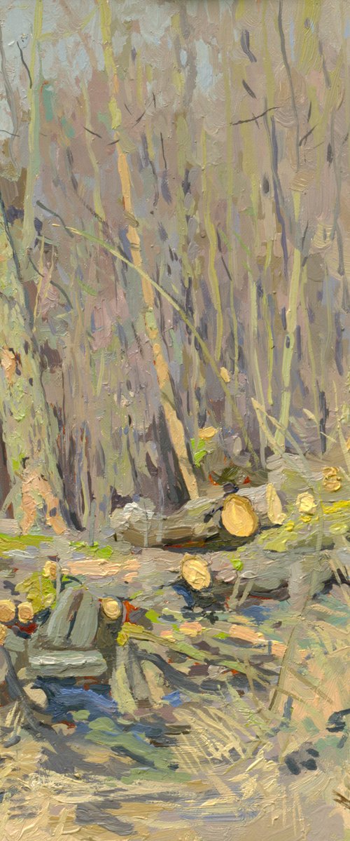 Spring at Setun by Simon Kozhin