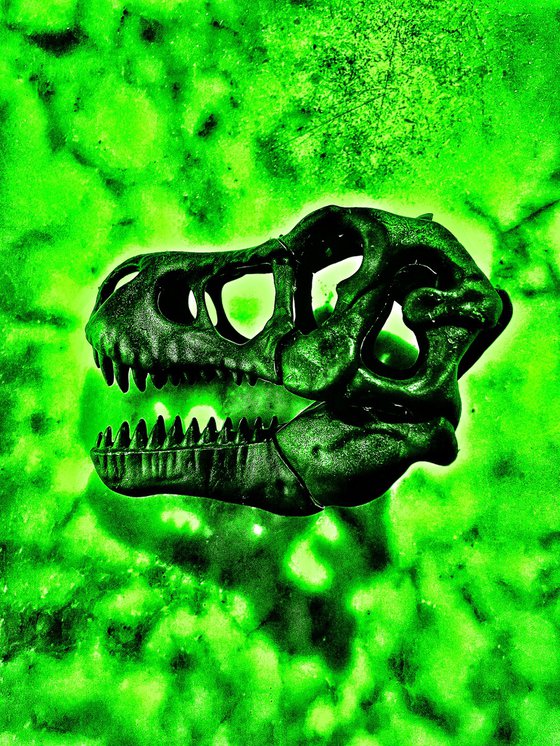 ABC#207 T-Rex #2