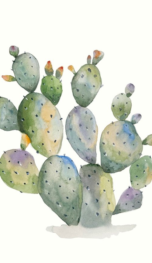 Watercolor Cactus 6 by Irina Anis