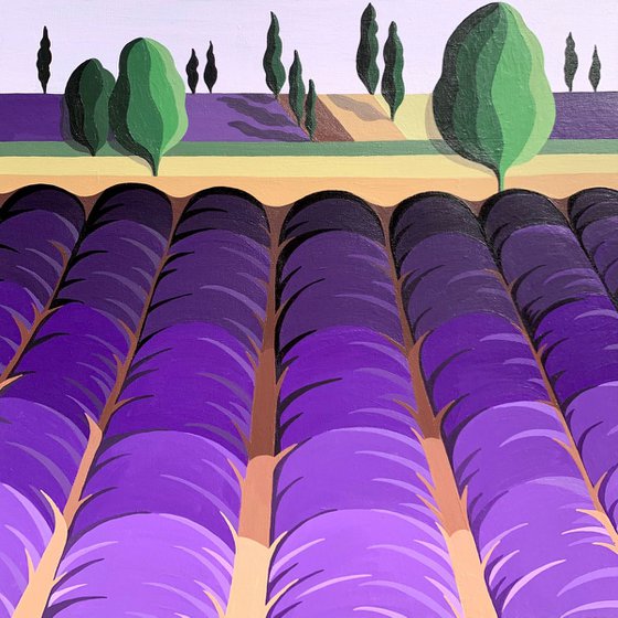 LAVENDER FIELD