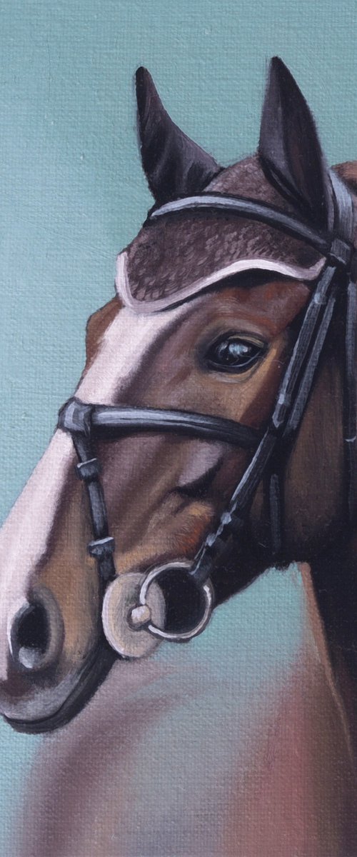 Horse Portrait 41 by Anastasia Parfilo