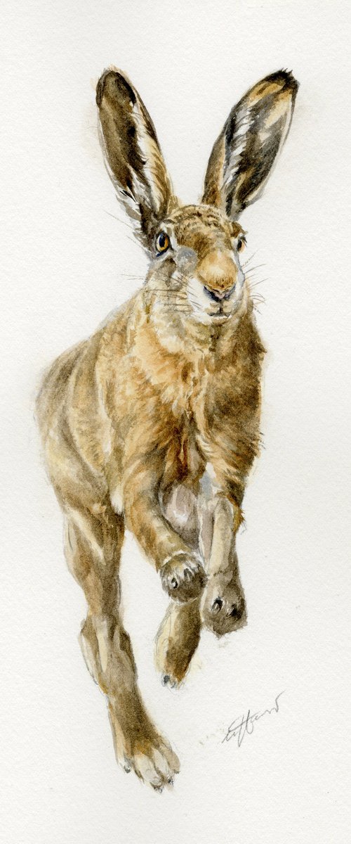Running hare by Una Hurst