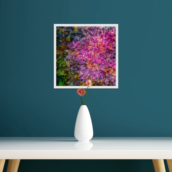 Abstract Flowers #6. Limited Edition 1/25 12x12 inch Photographic Print.