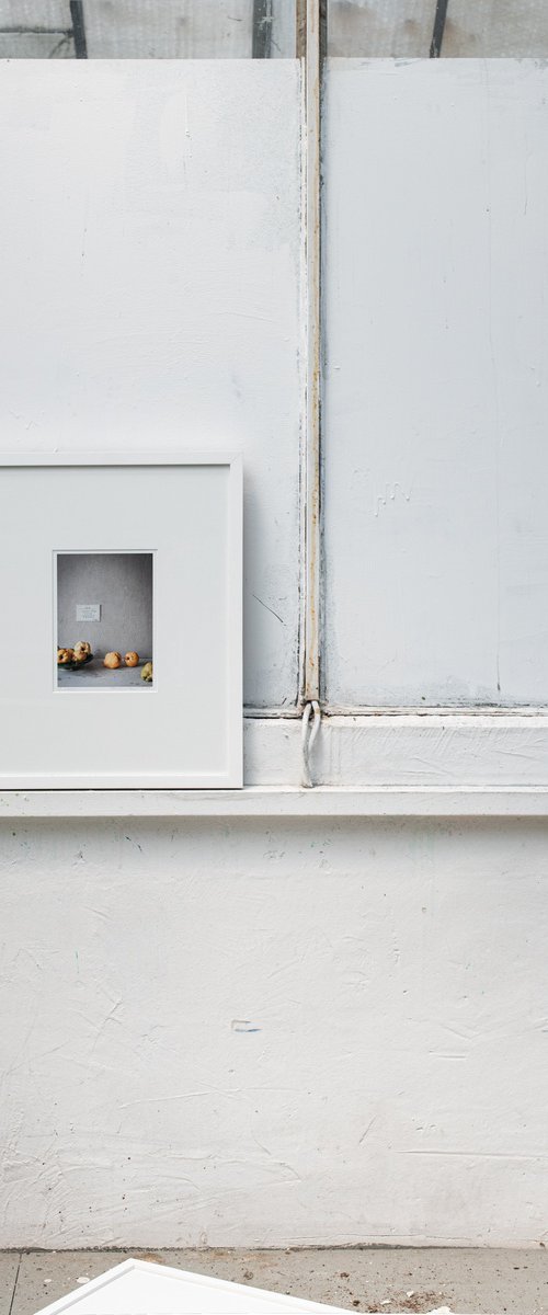 Cydonia Oblonga by Cornelia Weber