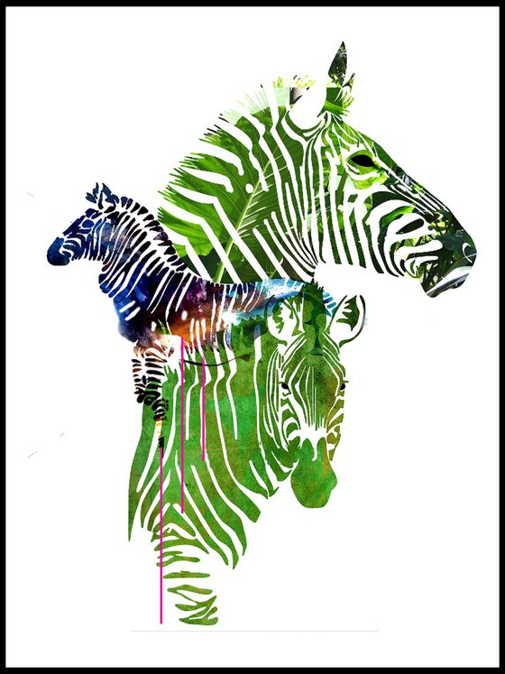 Portrait of Zebras